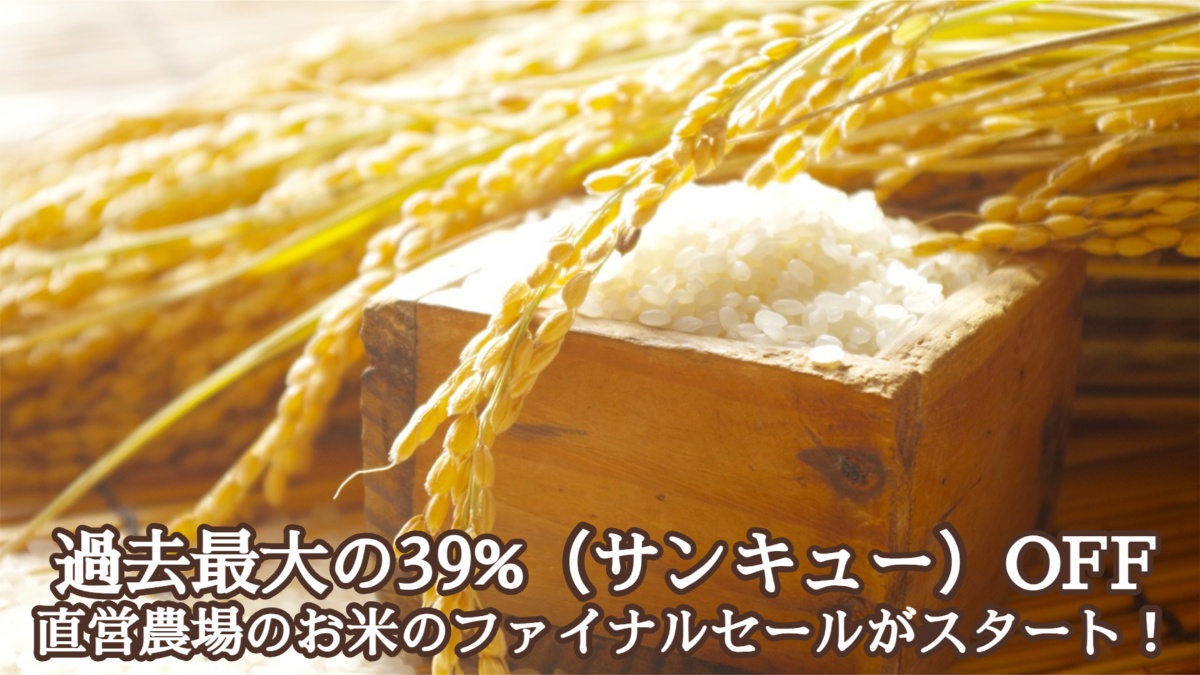 セール告知イメージ
